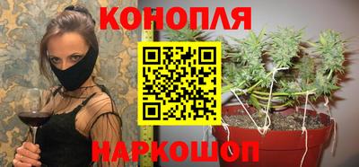 гашик Нарткала