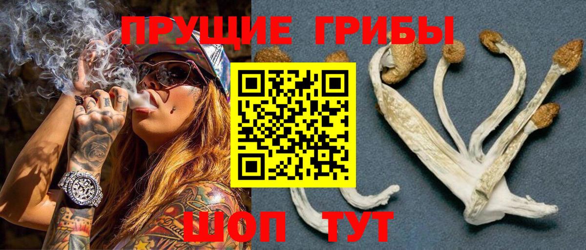 Тольятти  Псилоцибиновые грибы мухоморы  Вход с VPN 